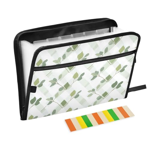 KLL Fächermappe, Ordner, legale Größe, Papier-Organizer, Aufbewahrung, tragbarer Akten-Organizer mit Taschen für Krankenhaus, rautengrün, weiß, Eukalyptus KLL Fächermappe, Ordner, legale Größe, Papier-Organizer, Aufbewahrung, tragbarer Akten-Organizer mit Taschen für Krankenhaus, rautengrün, weiß, Eukalyptus von KLL