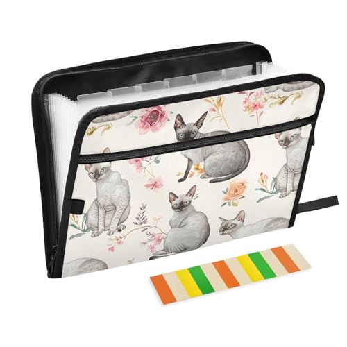 KLL Hängemappe, Akkordeon-Ordner, Poly-Erweiterungsmappe, kleine Datei, Organizer mit Taschen für Krankenpflege, lustige Cornish Rex Katzen, neutral KLL Hängemappe, Akkordeon-Ordner, Poly-Erweiterungsmappe, kleine Datei, Organizer mit Taschen für Krankenpflege, lustige Cornish Rex Katzen, neutral von KLL
