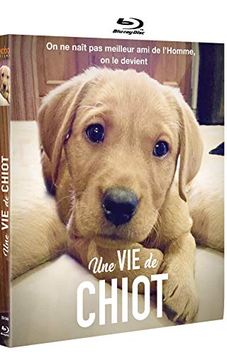 Une vie de chiot [Blu-ray] [FR Import] von KOBA