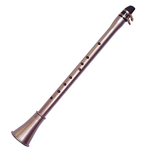 Saxophon,KOCAN Taschensaxophon ABS Sax Mini Tragbares Saxophon Kleines Saxophon mit Tragetasche Holzblasinstrument von KOCAN