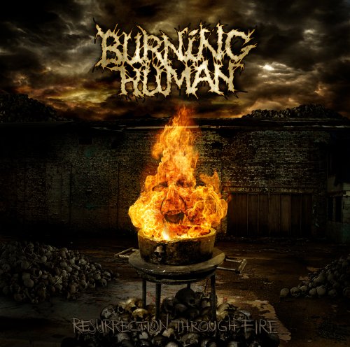 Burning Human [Vinyl LP] von Koch