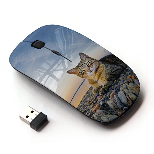 KOOLmouse [ Optische 2.4G kabellos Maus [ House Cat Nature Sunset Shorthair British ] von KOOLmouse