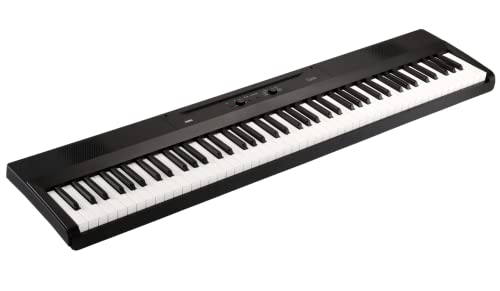 KORG Piano Liano L1 schwarz leichte Berührung von KORG