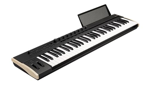 Korg KEYSTAGE-61 - Keystage 61 Key Poly AT MIDI Controller Tastatur – Schwarz Korg KEYSTAGE-61 - Keystage 61 Key Poly AT MIDI Controller Tastatur – Schwarz von KORG