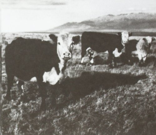 Finally Lp von KOZELEK,MARK
