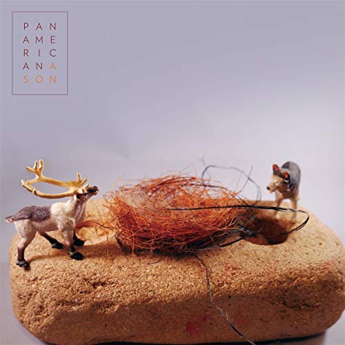 A Son [Vinyl LP] von KRANKY