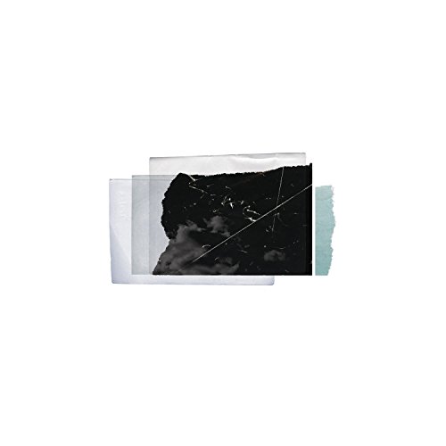 Christopher Bissonnette - Essays In Christopher Bissonnette - Essays In von KRANKY