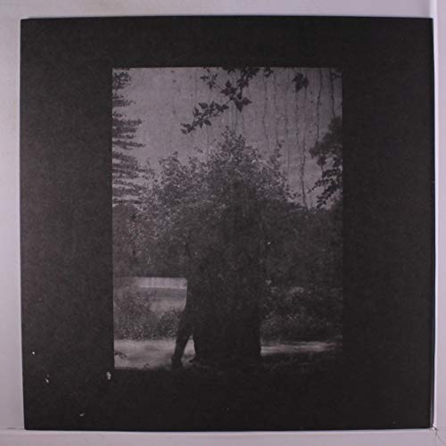 Ruins [Vinyl LP] von KRANKY