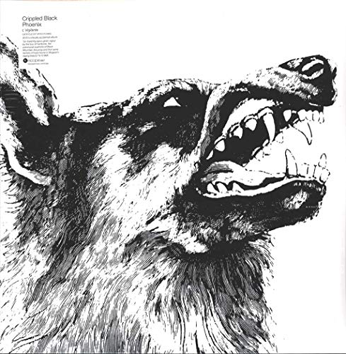 I,Vigilante [Vinyl LP] von KSCOPE