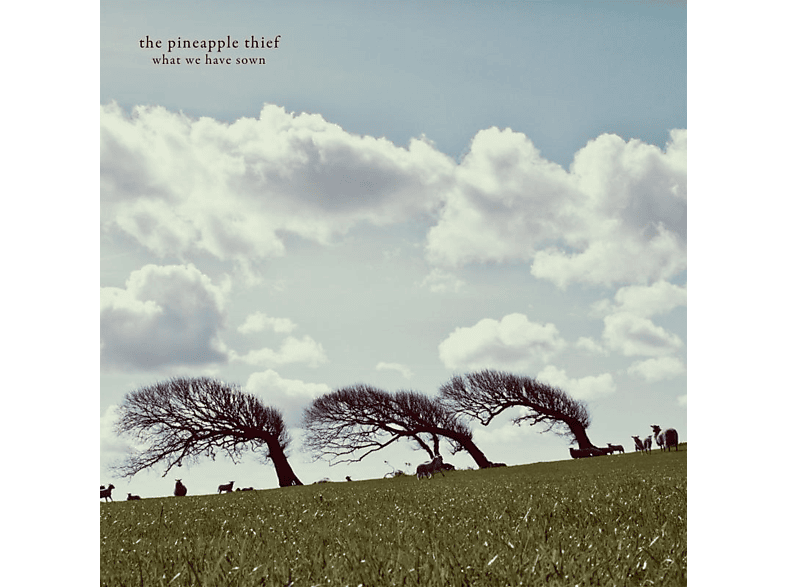 The Pineapple Thief - What We Have Sown (Vinyl) von KSCOPE
