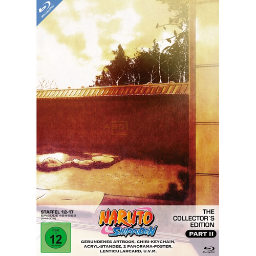 Naruto Shippuden - Collector´s Edition - Part II       (19 Blu-rays) von KSM Anime