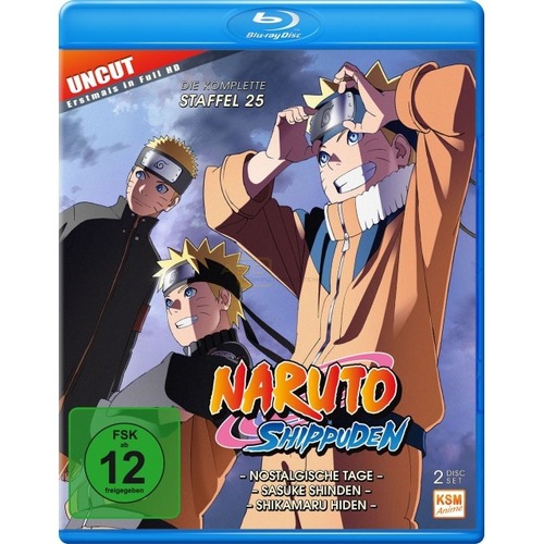 Naruto Shippuden - Staffel 25      Episode 700-713 (2 Blu-rays) von KSM Anime