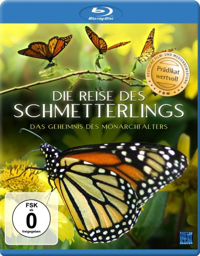 Die Reise des Schmetterlings - Das Geheimnis des Monarchfalters [Blu-ray] von KSM GmbH