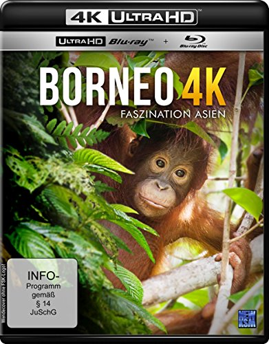 Borneo - Faszination Asien (4K Ultra HD) (+ Blu-ray) von KSM