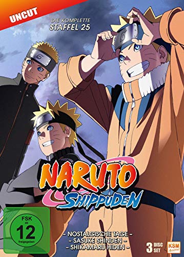 Naruto Shippuden - Staffel 25 (Folgen 700-713) [3 DVDs] von KSM