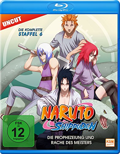 Naruto Shippuden - Staffel 6: Folge 333-363 - Die Prophezeiung und Rache des Meisters (Uncut) [Blu-ray] von KSM