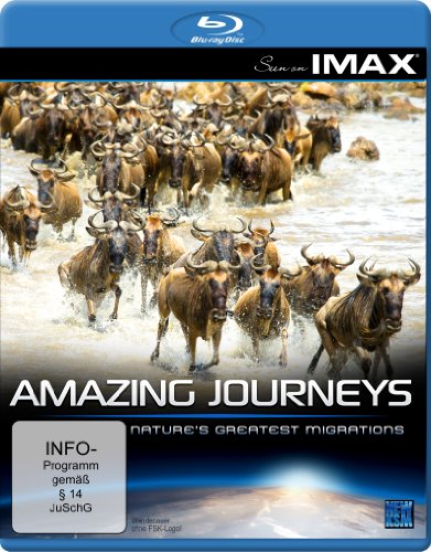 Seen On IMAX: Amazing Journeys - Nature's Greatest Migrations [Blu-ray] von KSM