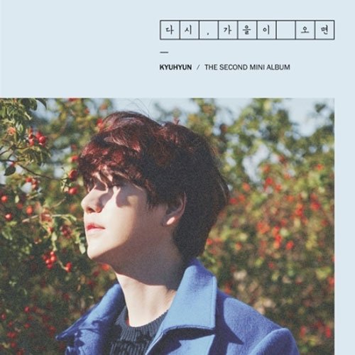 Super Junior KYUHYUN - [ Fall, Once Again ] 2nd Mini Album CD packages + Poster Sealed K-POP von KT Music