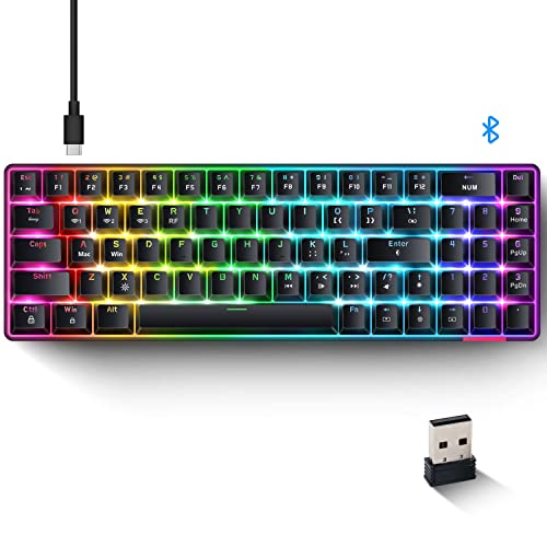 AK692 60% Bluetooth/Wireless/Wired Keyboard with 18 RGB Light, Hot Swappable Programmable Customized Computer Keyboard, Compact 69 Keys Mechanical Gaming Keyboard with Number Pad (White/Blue Switch) von KUIYN