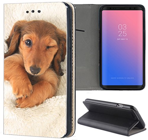 KX-Mobile Apple iPhone XR Hülle - Handyhülle für Apple iPhone XR - Handycover aus Kunstleder Motiv 1329 Dackel Welpe Hund Hundebaby Schutzhülle Smart Klapphülle Case KX-Mobile Apple iPhone XR Hülle - Handyhülle für Apple iPhone XR - Handycover aus Kunstleder Motiv 1329 Dackel Welpe Hund Hundebaby Schutzhülle Smart Klapphülle Case von KX-Mobile