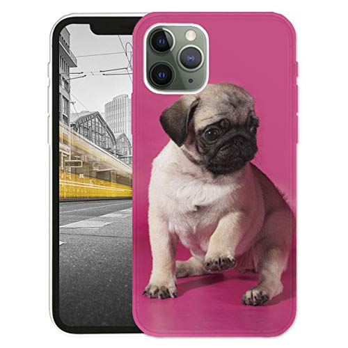 KX-Mobile Hülle für iPhone 11 Handyhülle Motiv 1549 Mops Welpe Hund Pink Braun Premium Silikonhülle SchutzHülle Softcase HandyCover Handyhülle für iPhone 11 Hülle von KX-Mobile