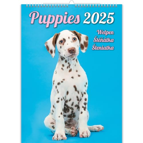 KALPA Welpenkalender 2024: 12-Monats-Wandkalender (24 x 33 cm), Hunde Kalender 2024 klein im Hochformat, 12 Seiten monatlicher Fotokalender, Ein Jahr voller Hunde-Freude. von Kalpa