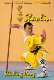 Kampfkunst International DVD: Hong - DIE 18 BEWEGUNGEN des Shaolin (143) von Kampfkunst International