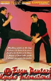 Kampfkunst International DVD: PANTAZI - Angriff ZU DEN BEINPUNKTEN (28) von Kampfkunst International