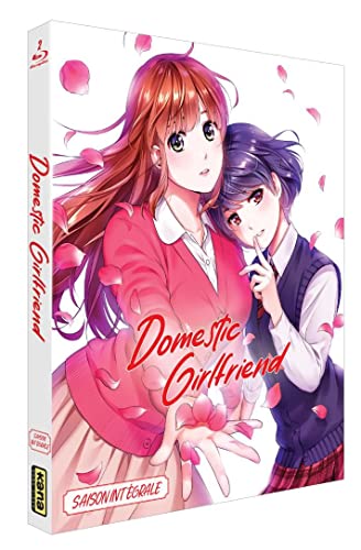 Domestic girlfriend - love X dilemma - saison 1 [Blu-ray] [FR Import] von Kana Home Video