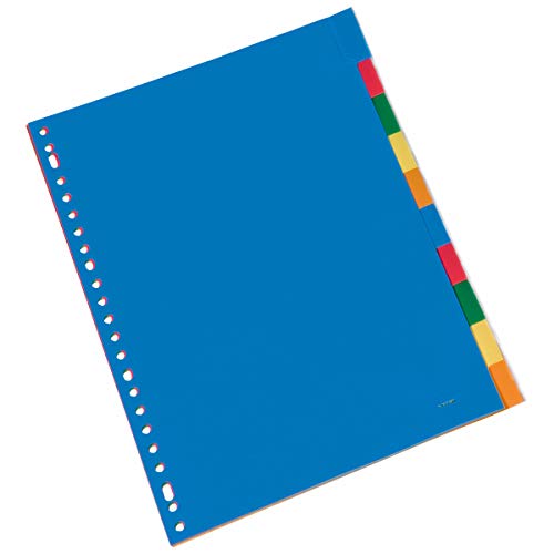 Register Kangaro DIN A4 Fenster PP 120 micron 23r. 10tlg sortiert Tabs von Kangaro