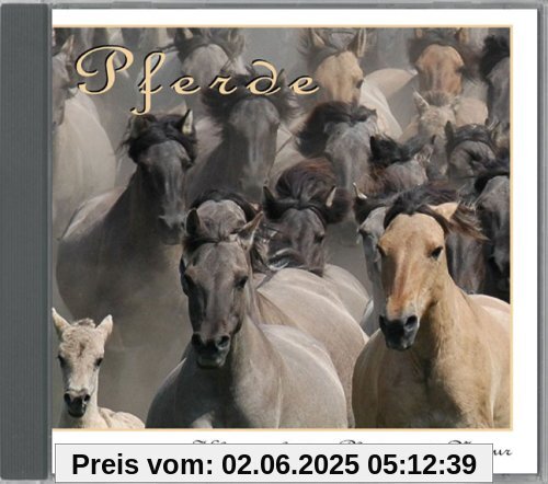 Pferde: Klangwelt der Pferde und Natur Pferde: Klangwelt der Pferde und Natur von Karl-Heinz Dingler