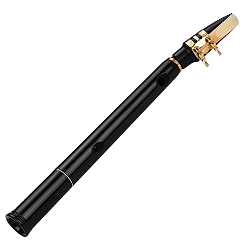 Karlak C Key Mini Pocket Saxophon Sax ABS Material mit Mundstücken 10 Stück Schilf Tragetasche Holzblasinstrument von Karlak
