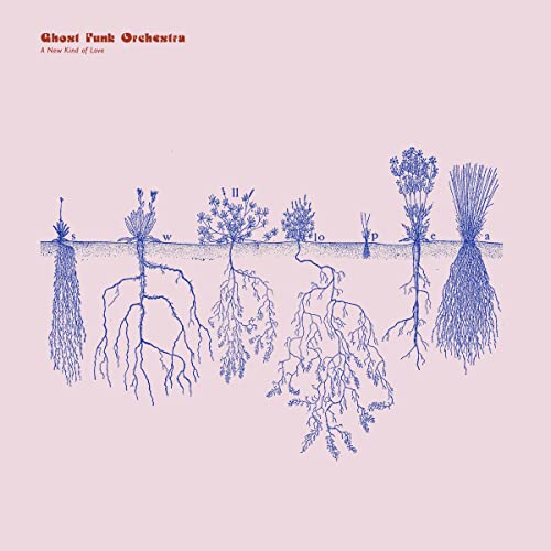 A New Kind of Love von Colemine Records