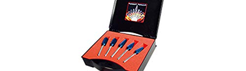 KARNASCH 114907 Fräsersatz nach DIN mit Blue-Tec-Beschichtung, 12 mm Durchmesser, 6 mm Griff, 5-teilig KARNASCH 114907 Fräsersatz nach DIN mit Blue-Tec-Beschichtung, 12 mm Durchmesser, 6 mm Griff, 5-teilig von Karnasch
