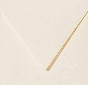 50 / Quadratische/Briefumschläge/Farbe/Zart Creme / 14 x 14 cm 140 x 140 mm feuchtklebend Umschläge 50 / Quadratische/Briefumschläge/Farbe/Zart Creme / 14 x 14 cm 140 x 140 mm feuchtklebend Umschläge von Karten24Plus