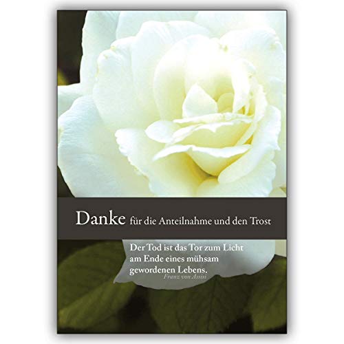 10 Trauer Dankeskarten (10er Set): Danke für die Anteilnahme und den Trost - Dankeskarte Trauer mit schöner Rose | stilvolle Danksagungskarte Trauerkarte Set mit Umschlägen nach Beerdigung von Kartenkaufrausch