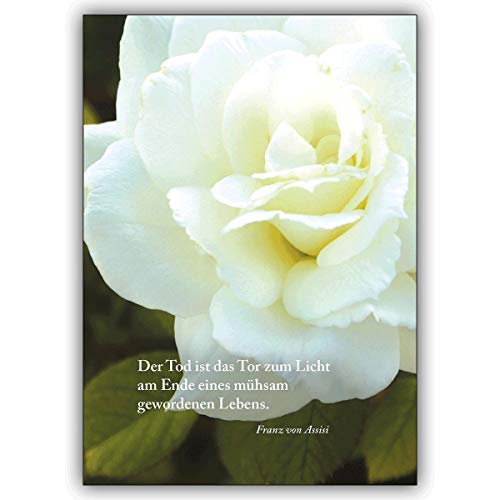 4 Trauerkarten (4er Set): Trauerkarte mit schöner Rose: Der Tod ist das Tor zum Licht. – schöne Beistandskarte um den Hinterbliebenen mit tiefem Mitgefühl zu kondolieren von Kartenkaufrausch
