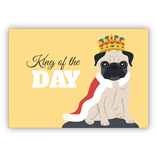 Lustige Geburtstag Grußkarte mit Mops als König auch als motivierende Klappkarte für ihn: King of the Day • Glückwunsch Grußkarte mit Umschlag für Lieblingsmenschen von Kartenkaufrausch