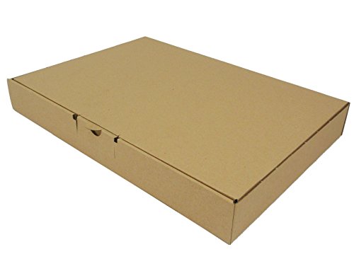 100 Stück Maxibrief Warensendung Karton Versandkartons Verpackung 350 x 250 x 50 B4 von Kartondealer