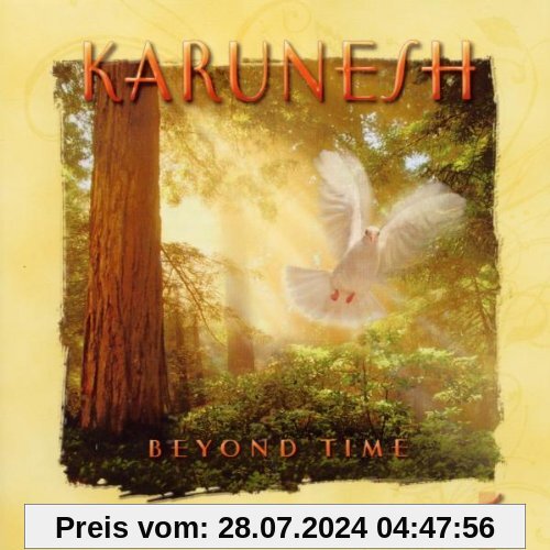 Beyond Time von Karunesh