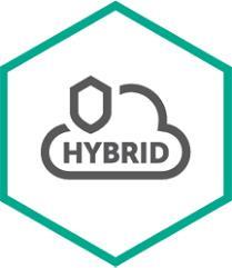 Kaspersky Hybrid Cloud Security - Abonnement-Lizenz (2 Jahre) - 1 CPU - Volumen - Stufe B (2-2) - Europa (KL4554XABDS) von Kaspersky Lab