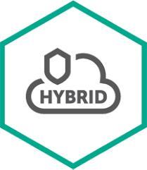 Kaspersky Hybrid Cloud Security Enterprise - Erneuerung der Abonnement-Lizenz (1 Jahr) - 1 virtueller Server - Volumen - Stufe B (2-2) - Europa (KL4253XABFR) von Kaspersky Lab