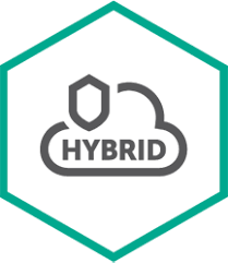 Kaspersky Hybrid Cloud Security Server - Erneuerung der Abonnement-Lizenz (1 Jahr) - 1 virtueller Server - Volumen - Stufe S (150-249) - Europa (KL4255XASFR) von Kaspersky Lab