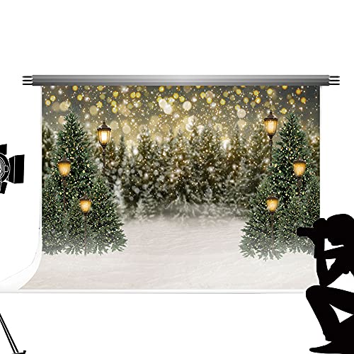 Kate Backdrops Weihnachtsfotografie Hintergrund 10x6.5ft/3x2m Weihnachten Schnee Szene Kulissen Weihnachtsbaum Taschenlampe Hintergrund Fotografie Weihnachten Hintergründe für Fotostudios von Kate