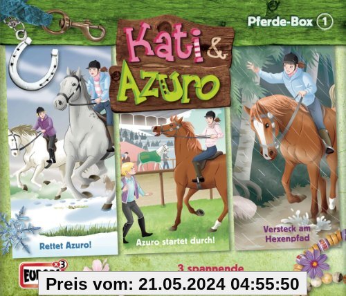 01 Pferde-Abenteuer-Box von Kati & Azuro