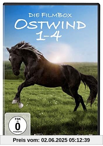 Ostwind 1-4 [4 DVDs] von Katja Garnier