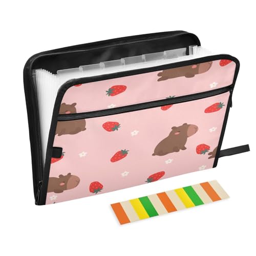Kcldeci Capibala Fächermappe mit Blumen, 13 Taschen, Akkordeon-Ordner, A4, Briefgröße, Papier, Dokumente, Quittungen, Organizer, Akkordean-Aktenordner für Klassenzimmer, Zuhause, Büro und Reisen Kcldeci Capibala Fächermappe mit Blumen, 13 Taschen, Akkordeon-Ordner, A4, Briefgröße, Papier, Dokumente, Quittungen, Organizer, Akkordean-Aktenordner für Klassenzimmer, Zuhause, Büro und Reisen von Kcldeci