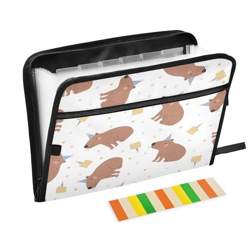 Kcldeci Capybara Fächermappe für Geburtstagspartys, 13 Fächer, Akkordeon-Ordner, A4, Briefgröße, Papier, Dokumente, Quittungen, Organizer, Akkordean-Aktenordner für Klassenzimmer, Zuhause, Büro und Kcldeci Capybara Fächermappe für Geburtstagspartys, 13 Fächer, Akkordeon-Ordner, A4, Briefgröße, Papier, Dokumente, Quittungen, Organizer, Akkordean-Aktenordner für Klassenzimmer, Zuhause, Büro und von Kcldeci