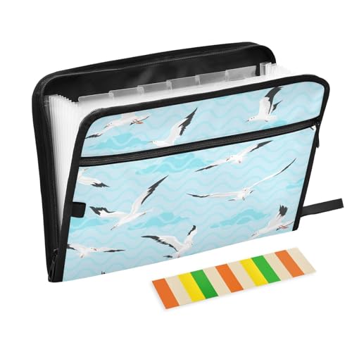 Kcldeci Fächermappe mit 13 Fächern, Motiv: Möwen fliegen auf blauem Himmel, Akkordeon-Ordner, A4, Briefgröße, Papier, Dokumente, Quittungen, Organizer, Akkordean-Aktenordner für Klassenzimmer, Zuhause Kcldeci Fächermappe mit 13 Fächern, Motiv: Möwen fliegen auf blauem Himmel, Akkordeon-Ordner, A4, Briefgröße, Papier, Dokumente, Quittungen, Organizer, Akkordean-Aktenordner für Klassenzimmer, Zuhause von Kcldeci