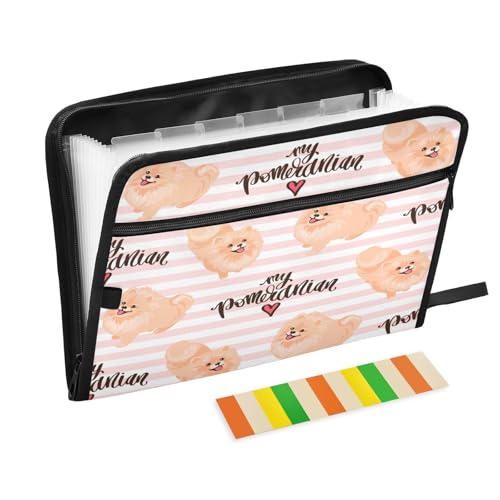 Kcldeci Fächermappe mit 13 Fächern, Motiv: Spitz Welpe im Cartoon, Akkordeon-Ordner, A4-Format, für Papier, Dokumente, Quittungen, Akkordean, für Klassenzimmer, Zuhause, Büro und Reisen Kcldeci Fächermappe mit 13 Fächern, Motiv: Spitz Welpe im Cartoon, Akkordeon-Ordner, A4-Format, für Papier, Dokumente, Quittungen, Akkordean, für Klassenzimmer, Zuhause, Büro und Reisen von Kcldeci